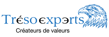 Logo Trésoexeprts